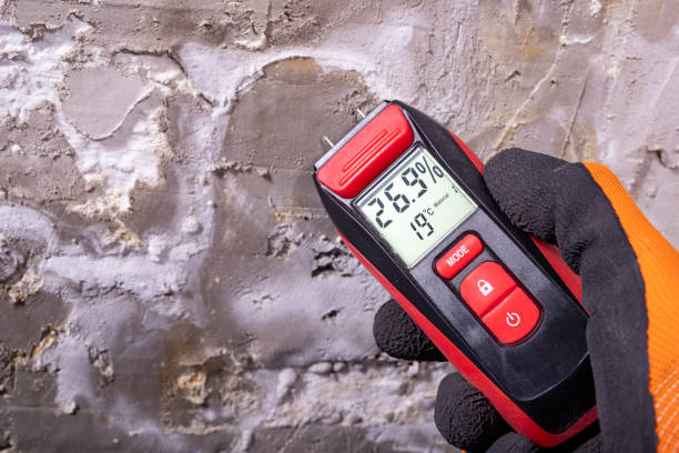 Best Emergency Mold Removal  in West Bishop, CA